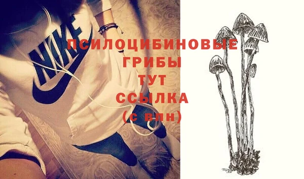 ECSTASY Лабытнанги