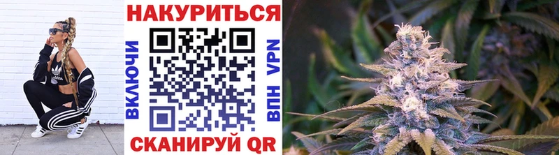Бошки Шишки марихуана даркнет сайт Медвежьегорск
